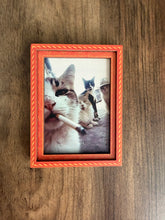 Load image into Gallery viewer, Four Cats Smoking Fridge Magnet