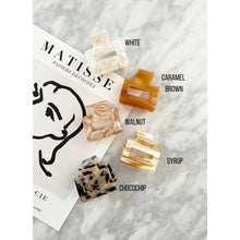 Load image into Gallery viewer, Acetate Tortoise Hair Clips